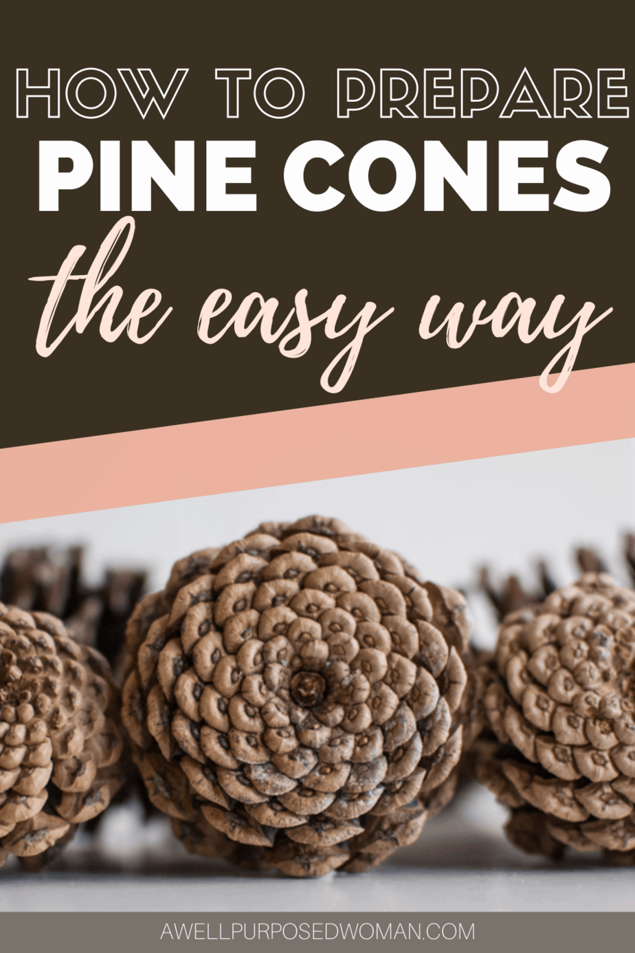 How To Prepare Pine Cones For Crafts One Step To NEVER Skip A Well