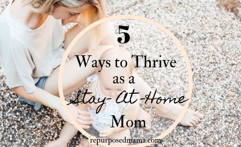 5 Ways To Thrive As A New Stay At Home Mom A Well Purposed Woman