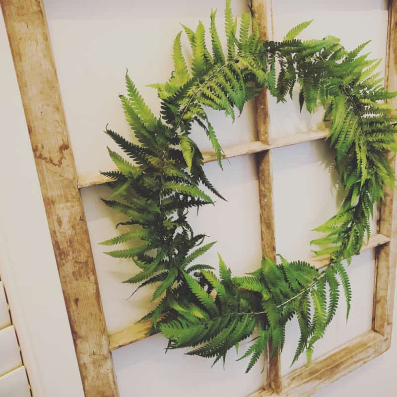How to Make DIY Fern Wreath
