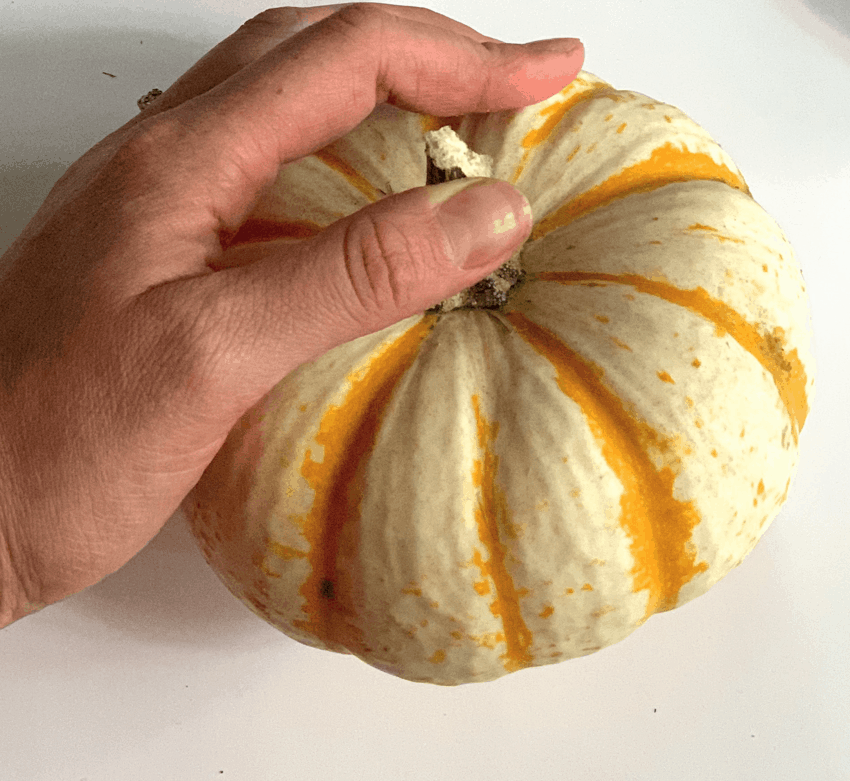 How to Dry Out Pumpkin Stems DIY