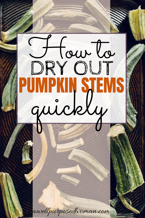 how to dry pumpkin stems diy