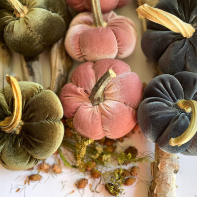 How to Make Velvet Pumpkins With Real Pumpkin Stems