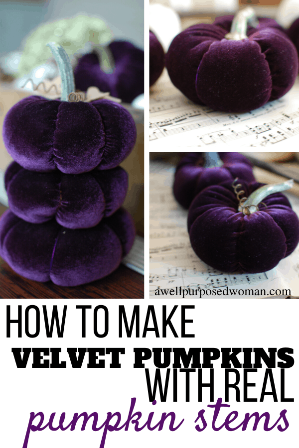 How to Make Velvet Pumpkins with Real Pumpkin Stems