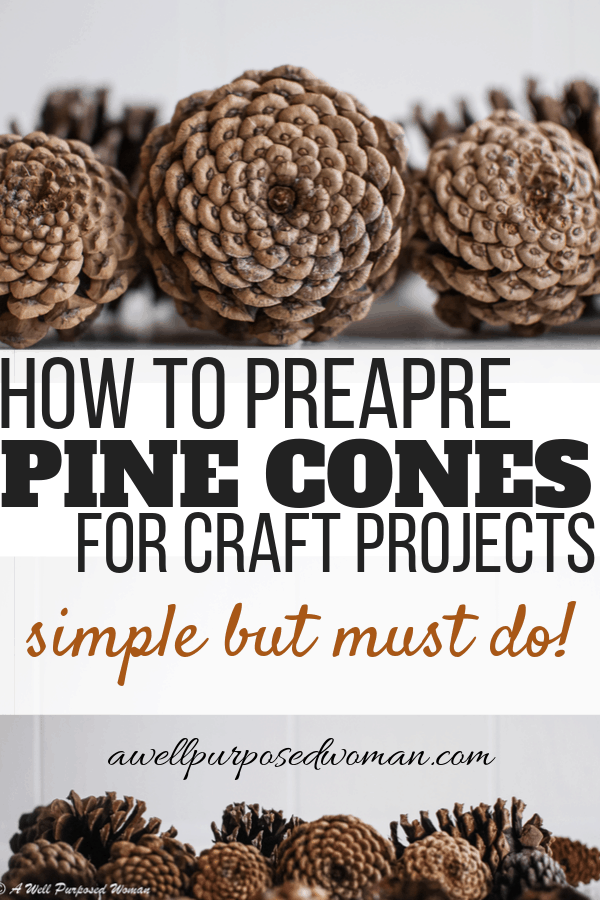 How to Prepare Pine Cones for Crafts: One Step to NEVER Skip - A Well  Purposed Woman
