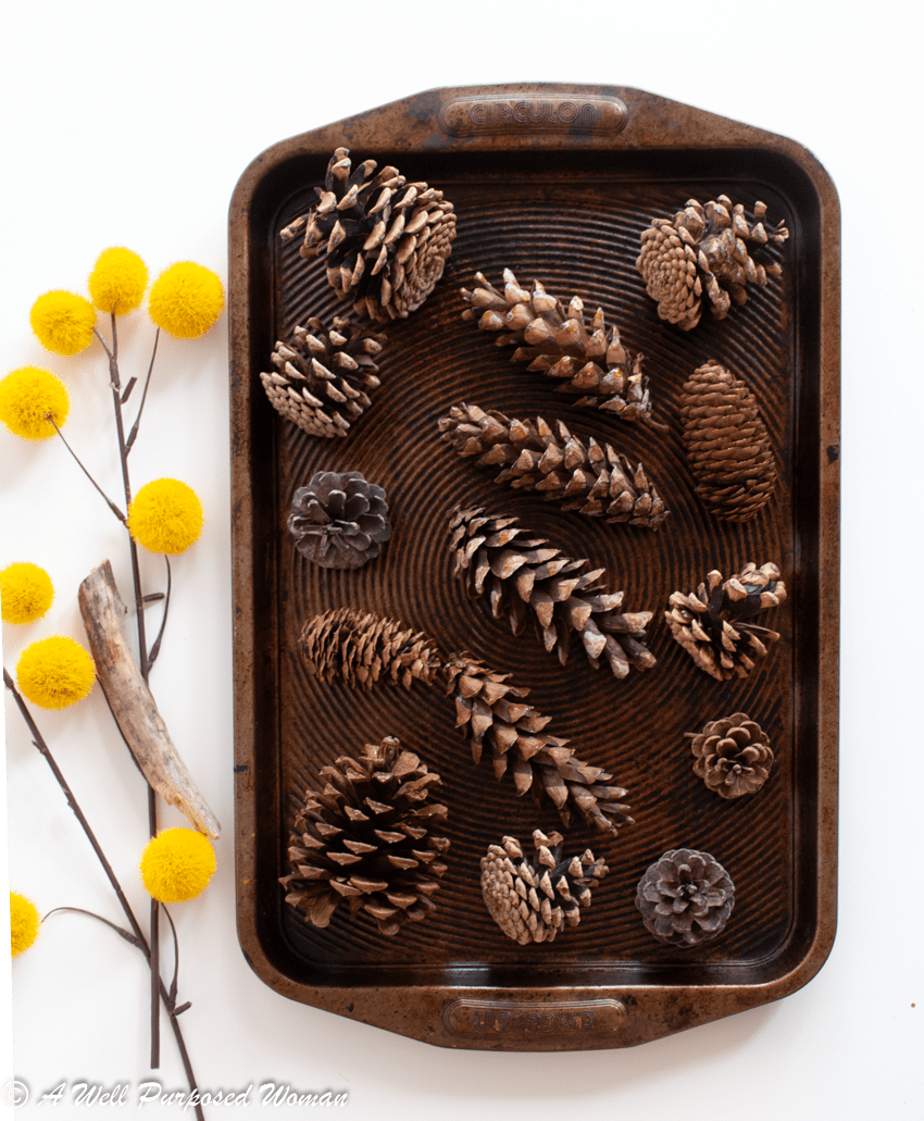 How to Prepare Pine Cones for Crafts: One Step to NEVER Skip - A Well ...