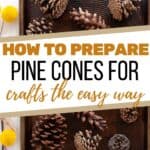 How to Prepare Pine Cones for Crafts or Decor » The Tattered Pew