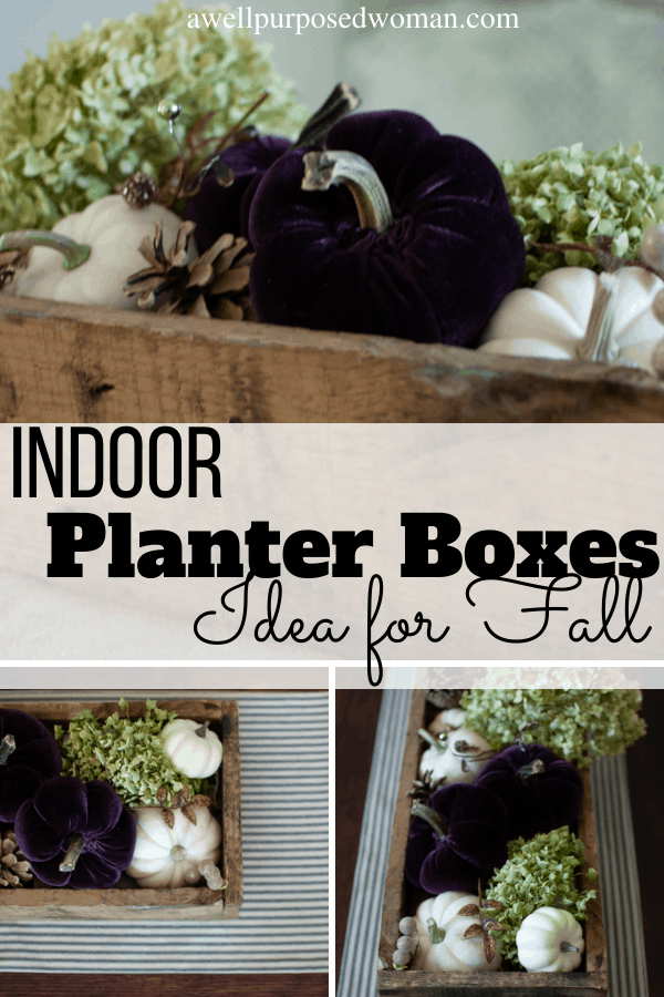 planter boxes indoor ideas