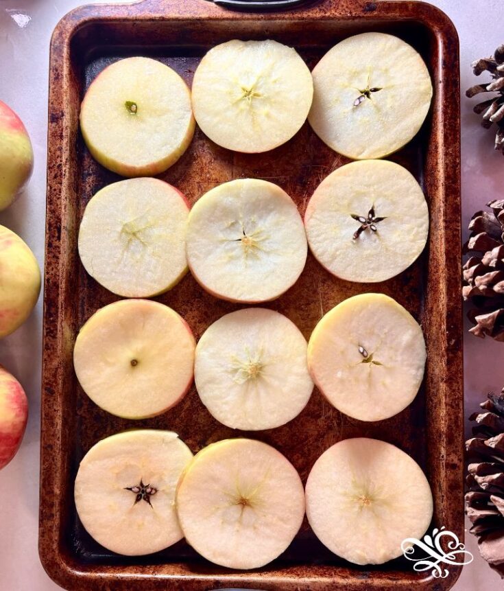 How to Dry Out Apples in the Oven